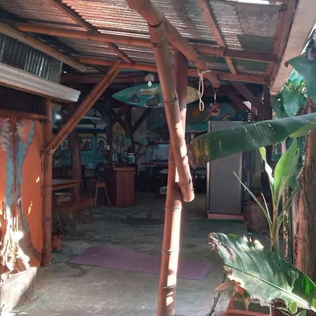 Osa Surf House Hotel Puerto Jimenez Exterior photo