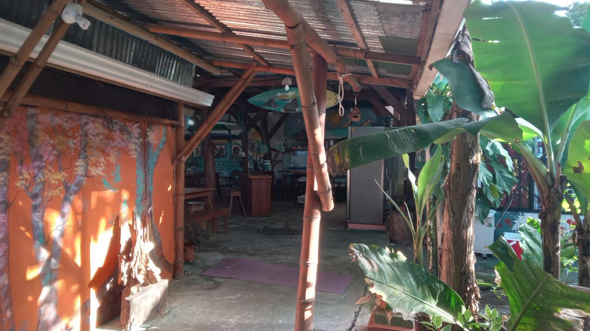 Osa Surf House Hotel Puerto Jimenez Exterior photo