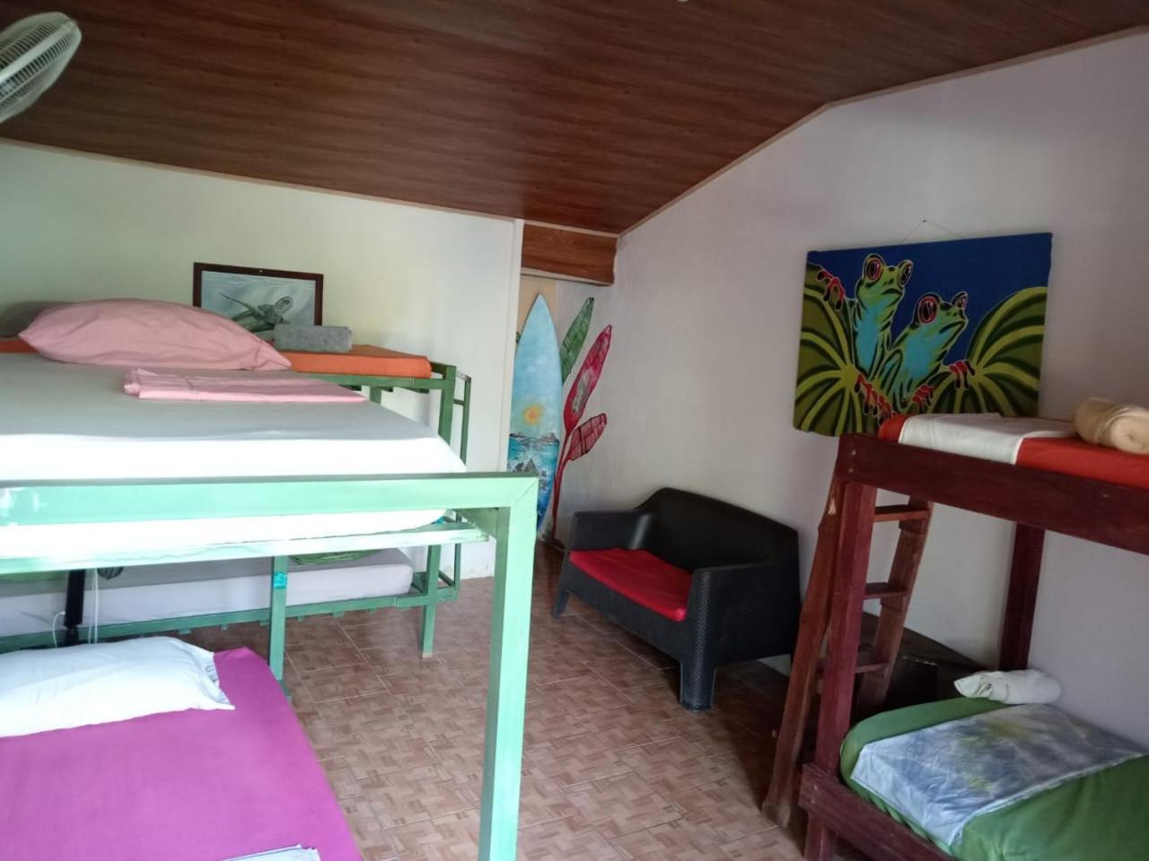 Osa Surf House Hotel Puerto Jimenez Exterior photo